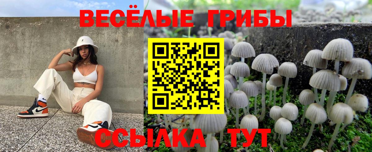 Галлюциногенные грибы Psilocybine cubensis Хабаровск