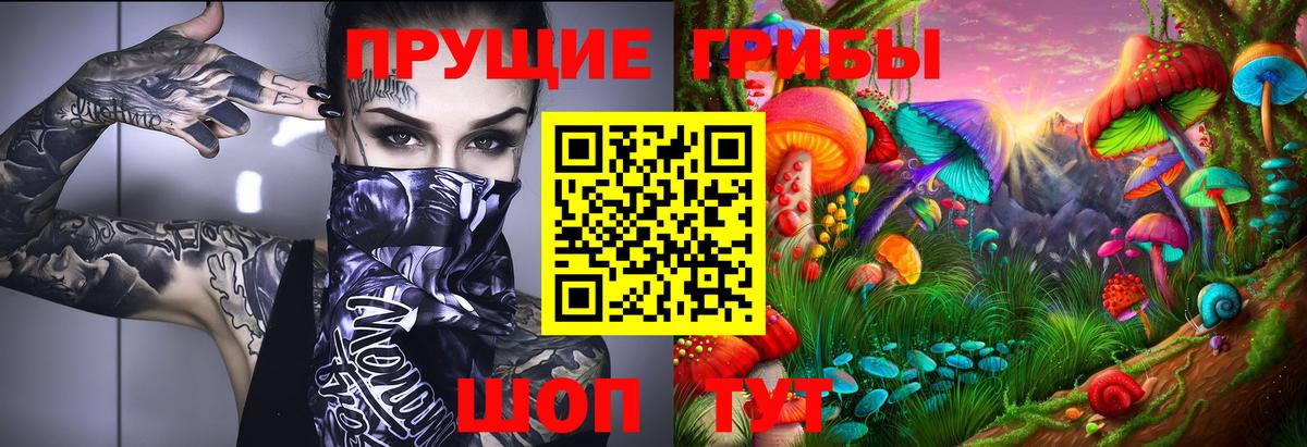 закладки  Галлюциногенные грибы Magic Shrooms  Вход с VPN  Хабаровск 